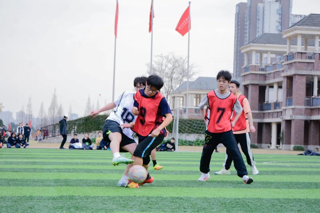 瓒虫ⅵ缁胯尩缁芥斁绮惧僵瓒崇悆鏁呬簨,瓒虫ⅵ缁胯尩