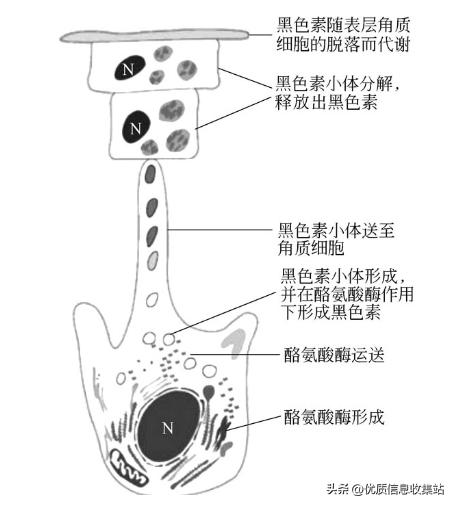 护肤书单爆款,美容化妆品书籍
