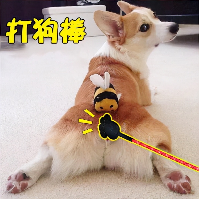 为什么不要一直打狗,一定要远离打狗的人