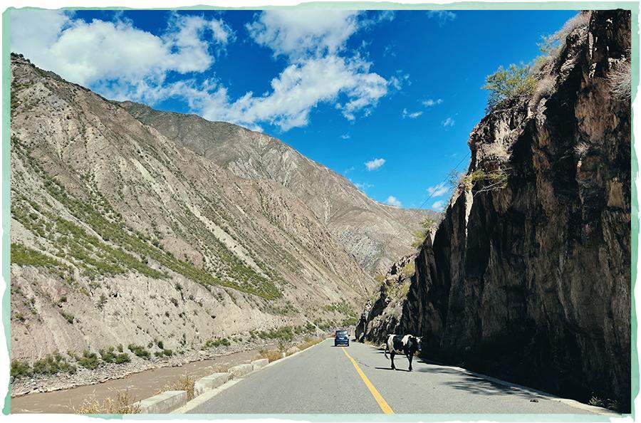 史上最苦亲子游，最惨时三人分一碗泡面！我为什么还要带年糕来？