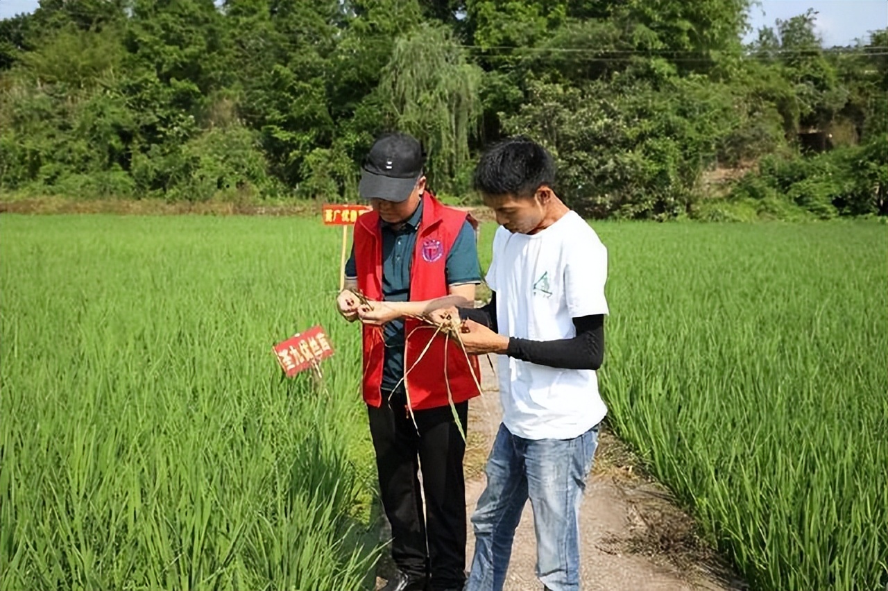 「泸州」江阳区：乡贤农场入选全省典型案例背后的“历程故事”