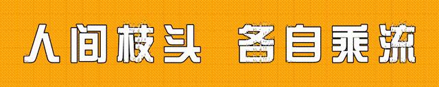 电击、殴打、*虐性**！400亿的“人间炼狱”，竟是家长们亲手打造的