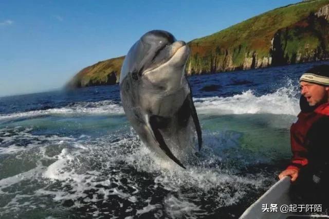 巴西的贫民窟到底有多残酷,巴西现在面临的环境问题