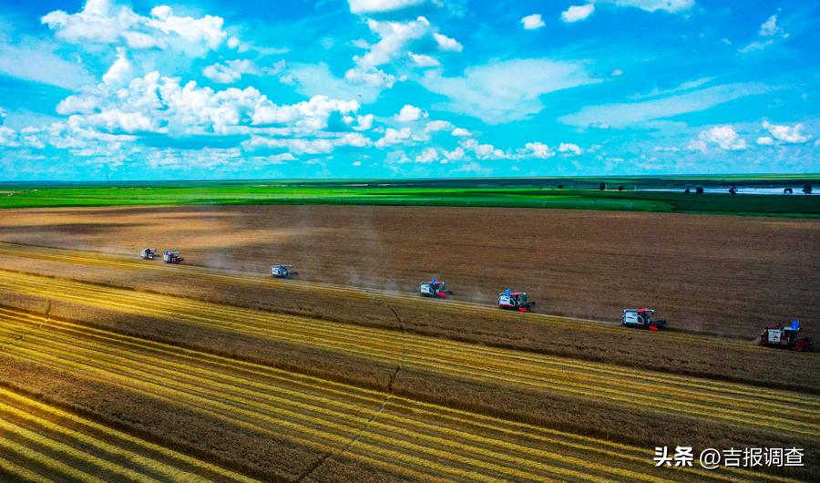 古城粮丰季，仓廪俱盈实！洮南市迈入全省前十产粮大县行列