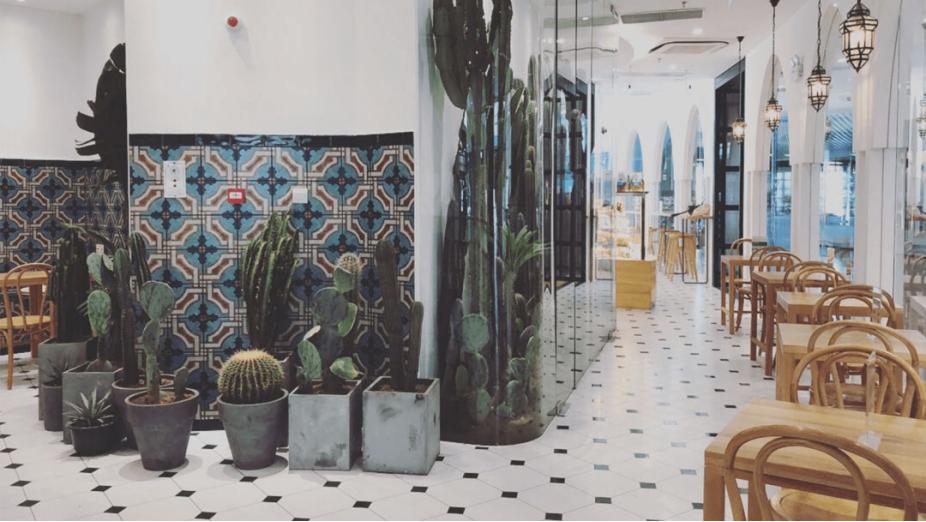 茉酸奶是真酸奶吗,茉酸奶冷萃酸奶