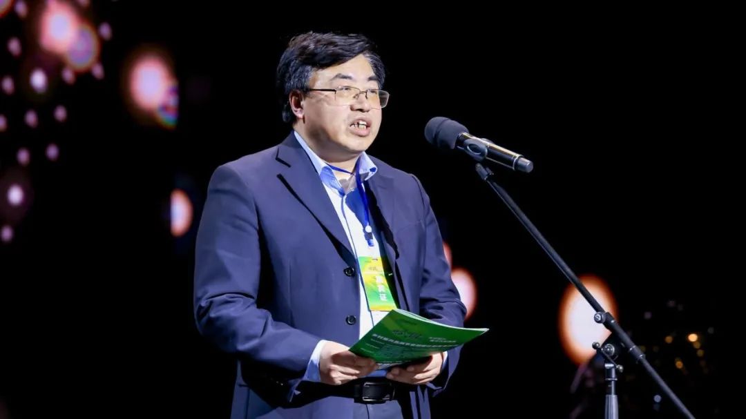 六起典型案例通报,六大纪律典型案例