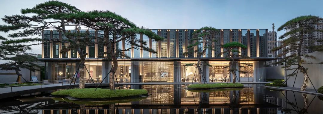 松树的文化内涵和精神品质,松树给人什么样的美感