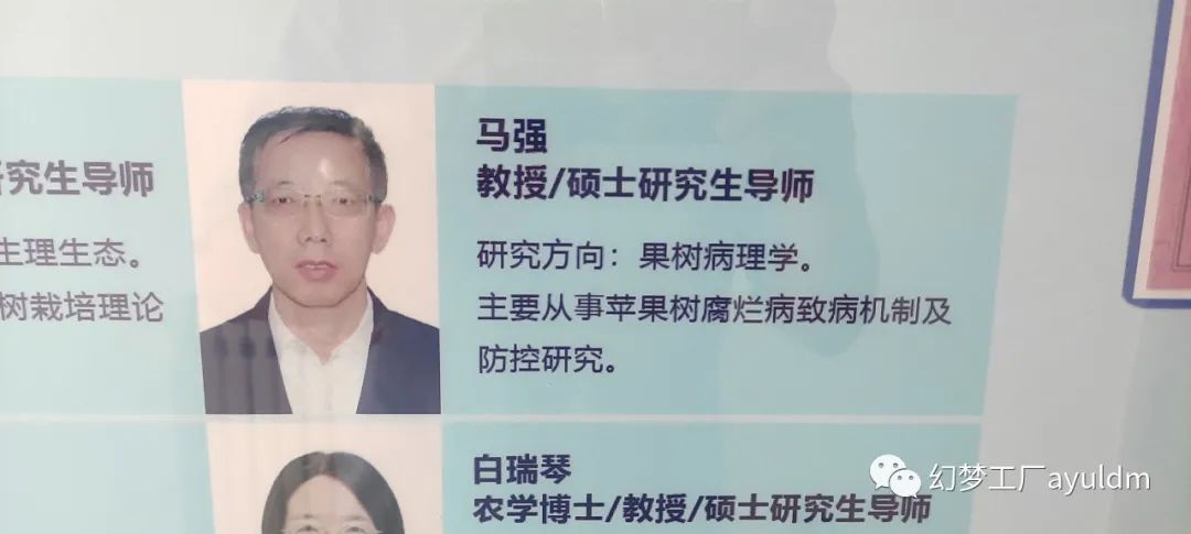 你好母校作文800字,你好母校作文