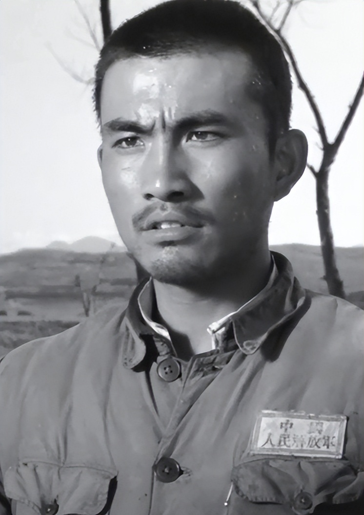 关于革命的小说红日简介,长篇小说红日沈振新的原型是谁