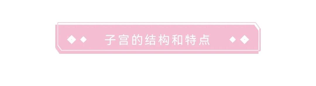 子宫大小与妊娠周数相符,妊娠子宫体积