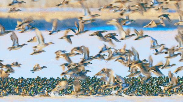 山东夏天去避暑最好的方法,夏日送清凉方案