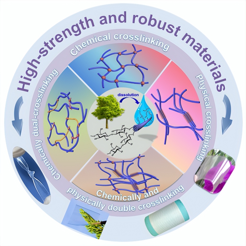 纤维素基水凝胶,纤维素水凝胶