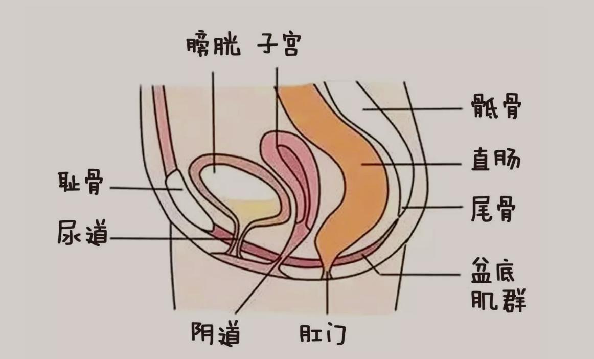 女性阴道有白色泡沫排出来，是咋回事？暗示了什么？看完涨知识了