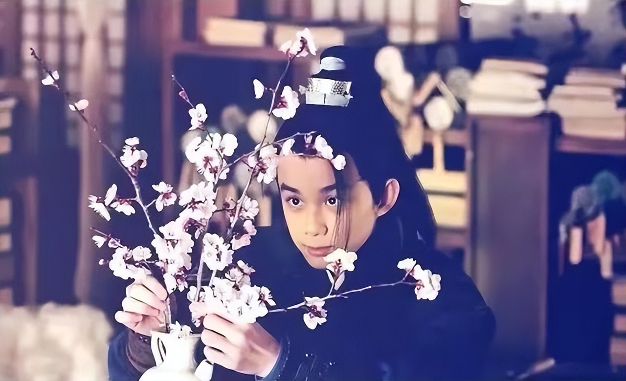 王凯胡歌靳东演的电视剧有哪些,胡歌靳东王凯演的什么电视剧