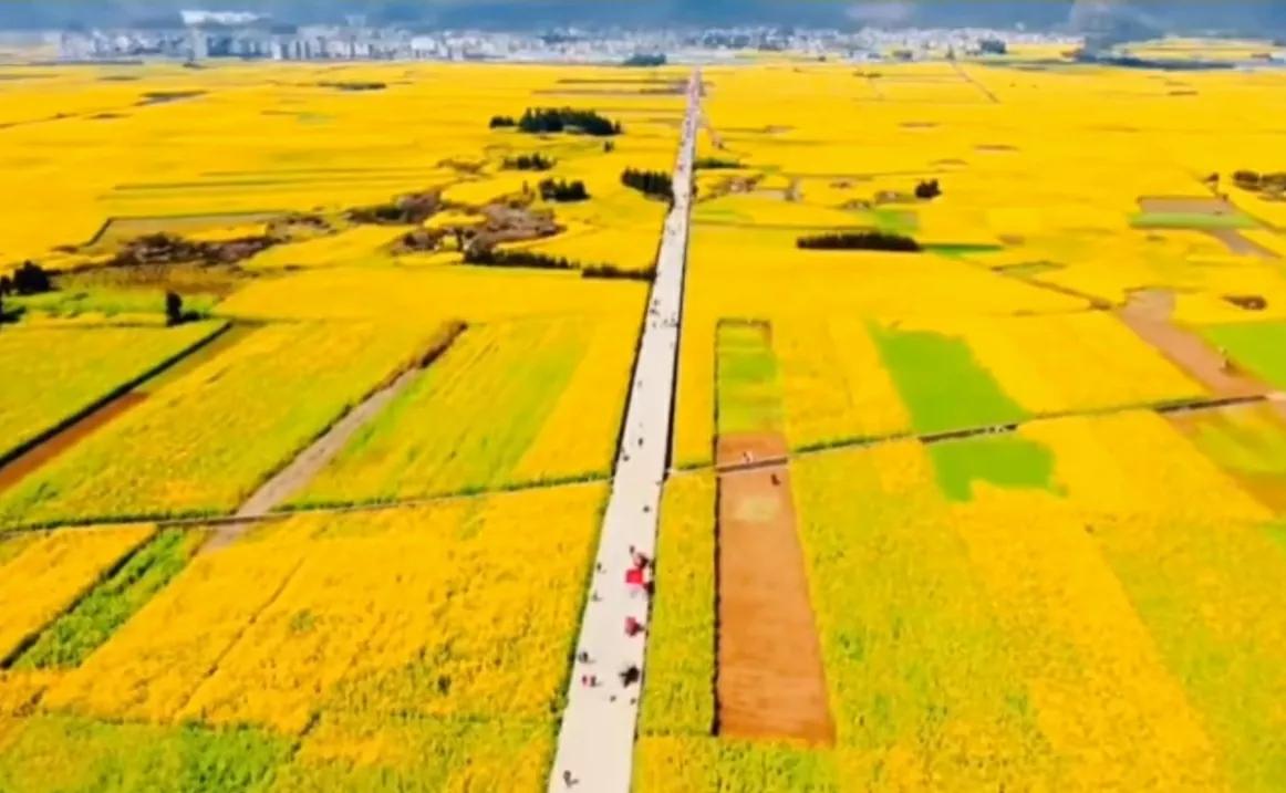 贵州网红草根把亲妹妹介绍给大衣哥做儿媳，返回老家一路江南美景