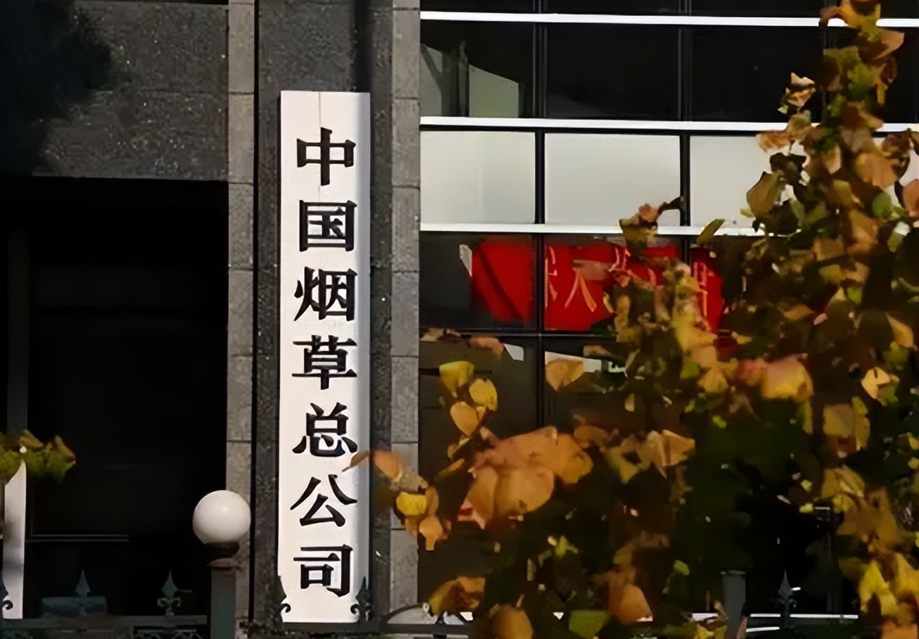 毕业生入职中国*草烟**,晒出工资条惹人羡慕,公积金太“秀”了