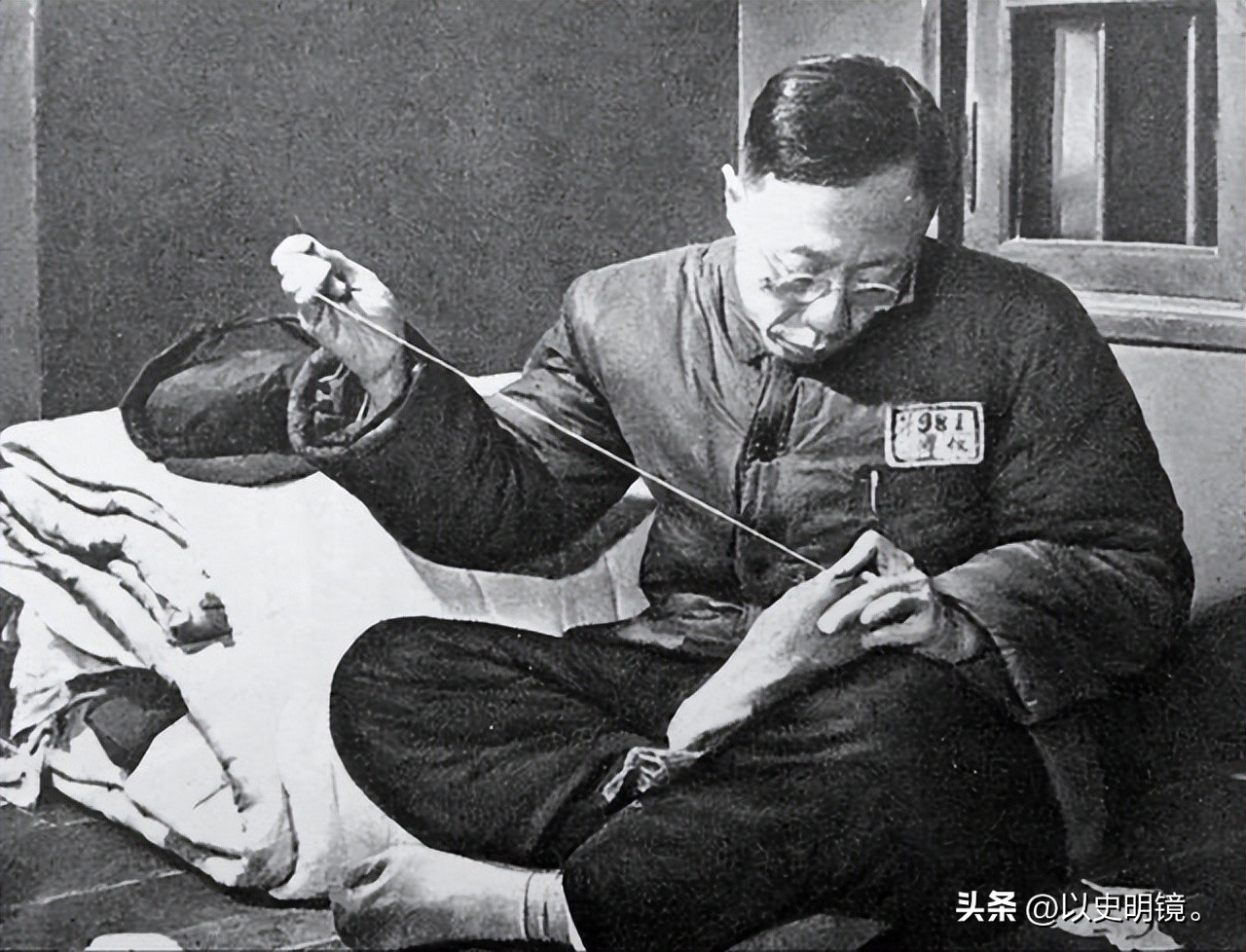 爱新觉罗溥仪皇帝的一生完整版,历史上的皇帝溥仪