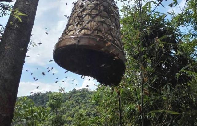 深入分析电影产业发展需求,国际形势对电影产业影响