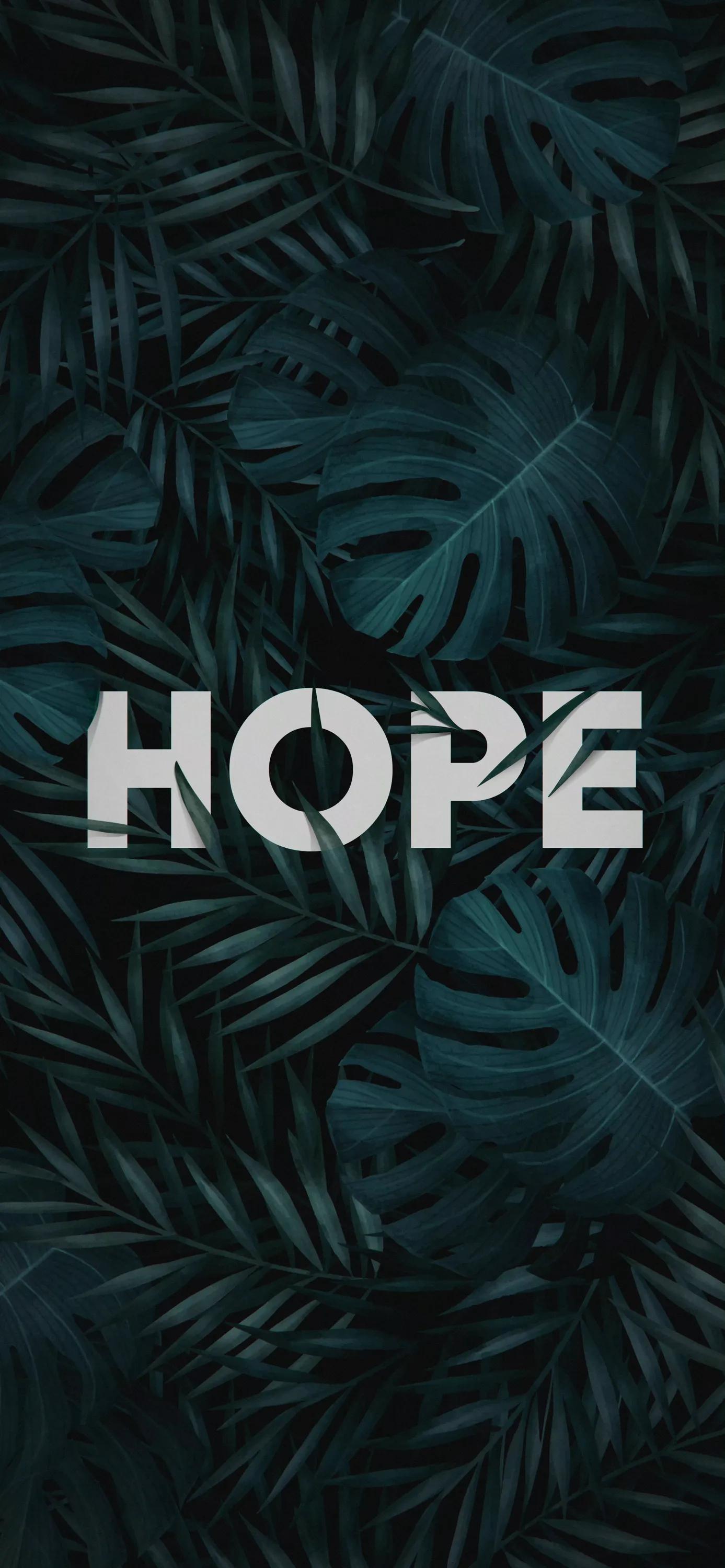 文字壁纸人生感悟,抖音最火文字壁纸