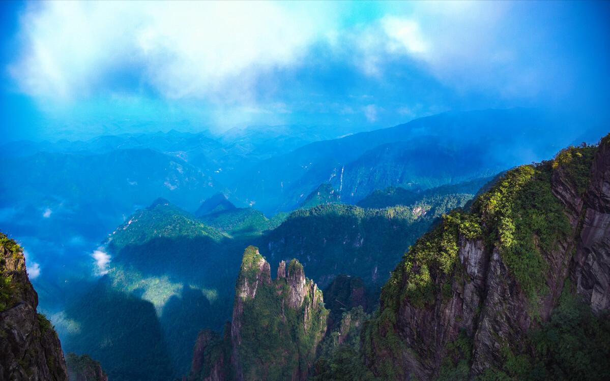 中国几百条的蛇,我国现存莽山烙铁头蛇数量