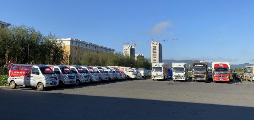 聚焦三大重点实现三农工作新突破,喜报我县三项创新工作获奖