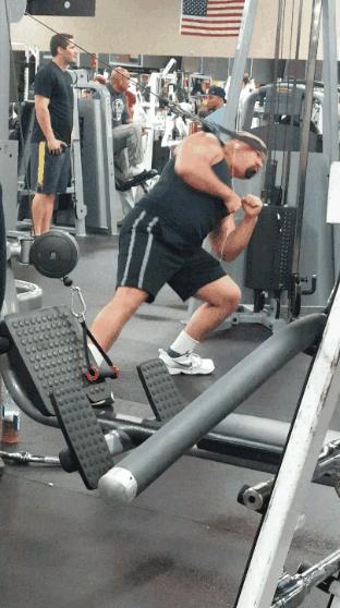 100个难得一见照片，砍伐巨树，运输军舰的巨轮，治疗风湿病的熊