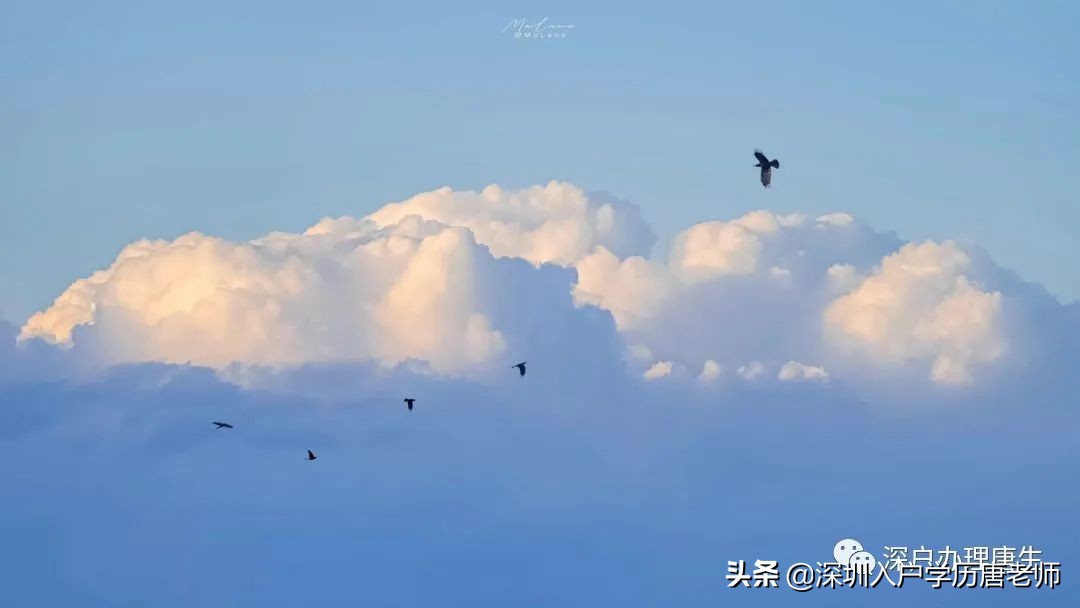 老人迁入深圳户口有什么好处,户口迁到深圳有什么好处