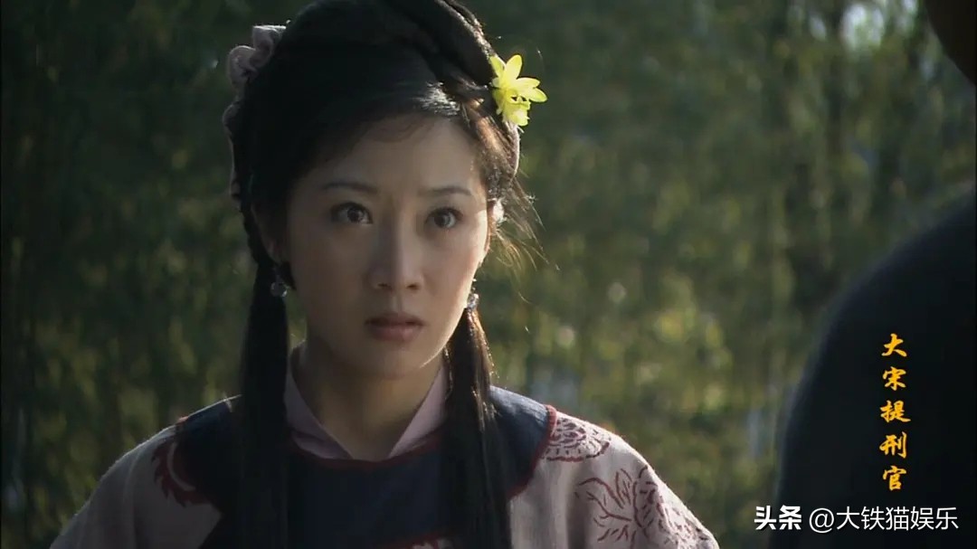 大宋提刑官三个人的故事,大宋提刑官怎么看不了了