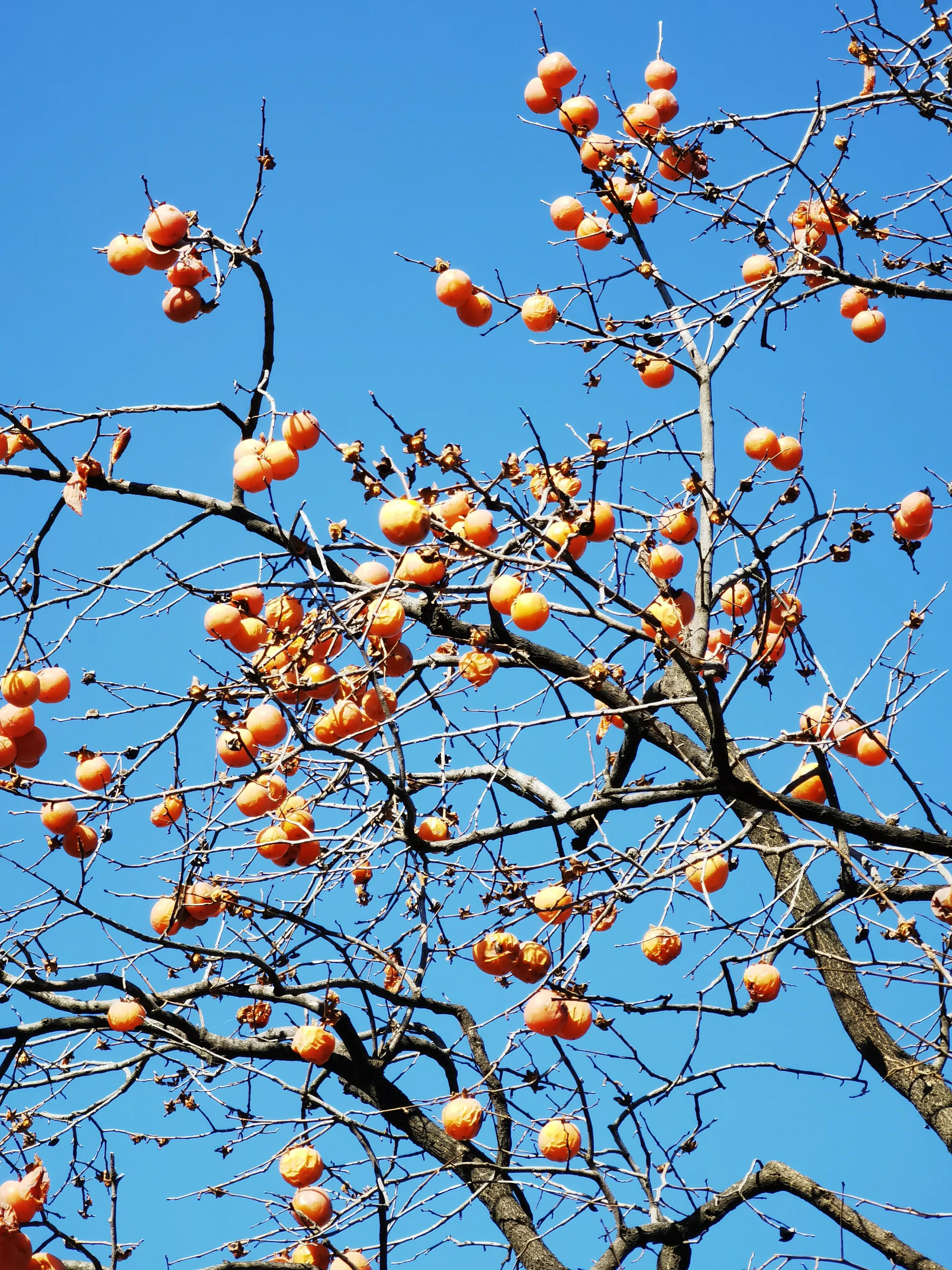 西安环山公路网红打卡,临潼环山路网红打卡地