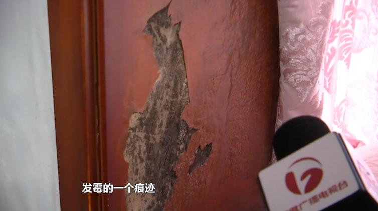 墙面渗水、掉皮、发霉…合肥多户居民苦不堪言！