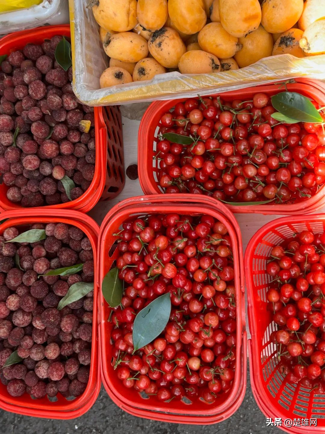 楚雄樱桃批发,楚雄樱桃多少钱一斤