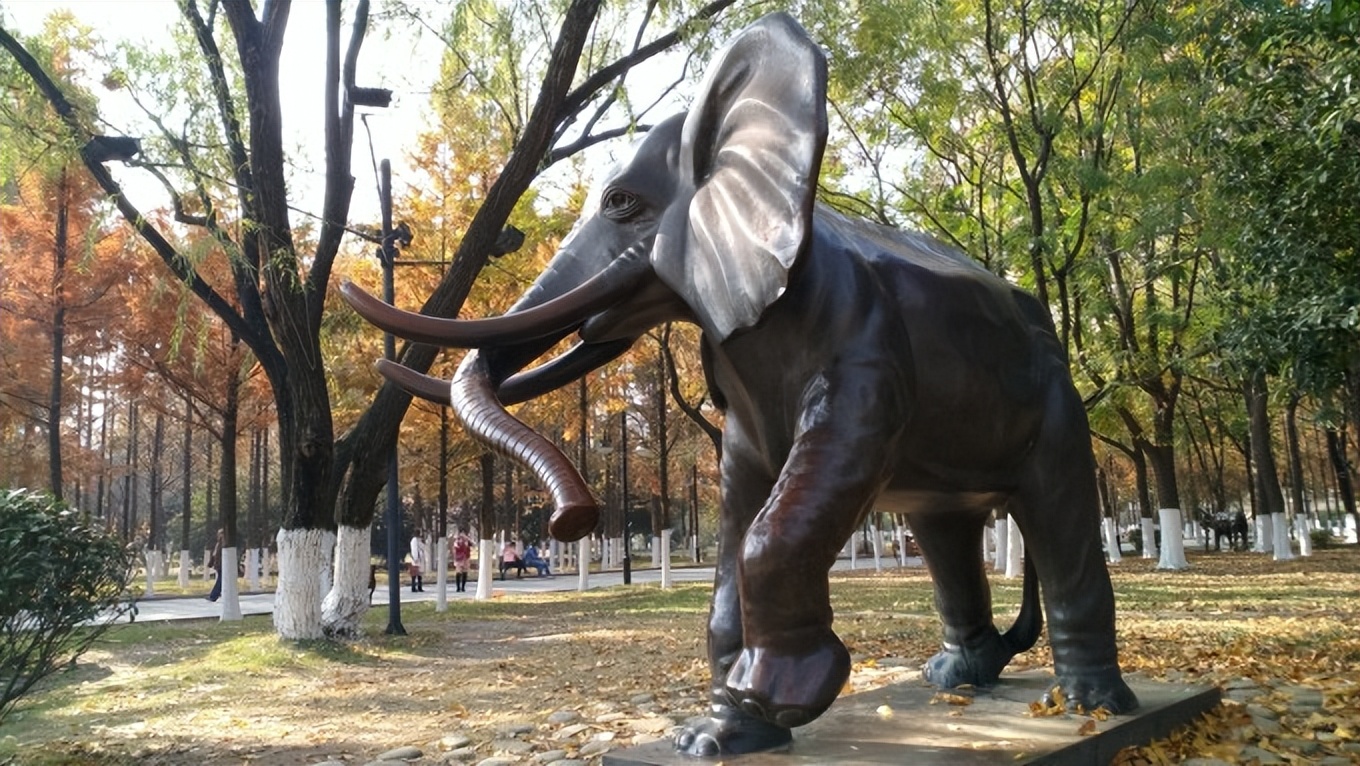 武汉友好城市图片,武汉市友好合作城市列表