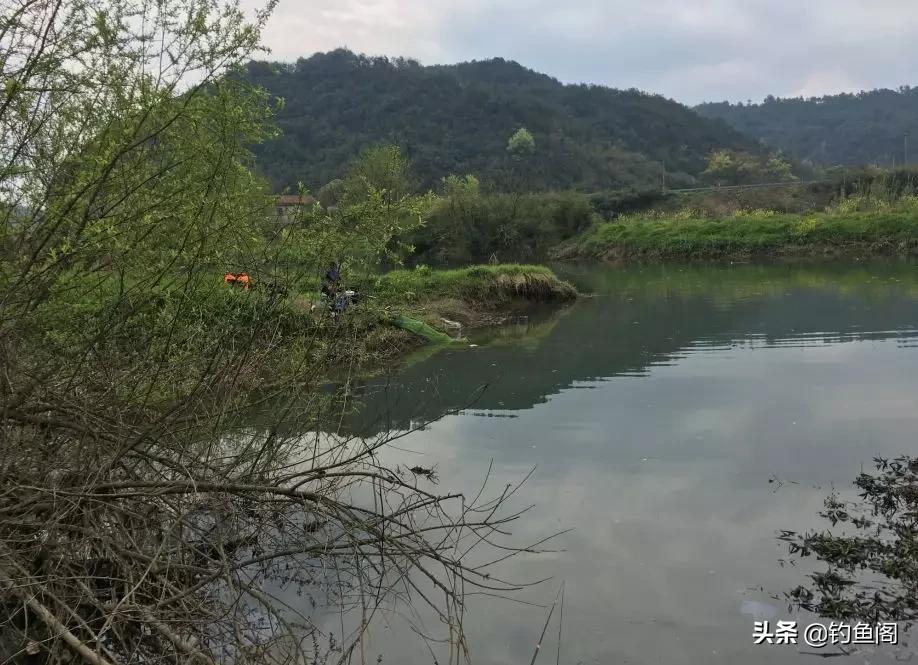 冬天野钓鱼不开口跟什么有影响,深秋野钓鱼不开口怎么办