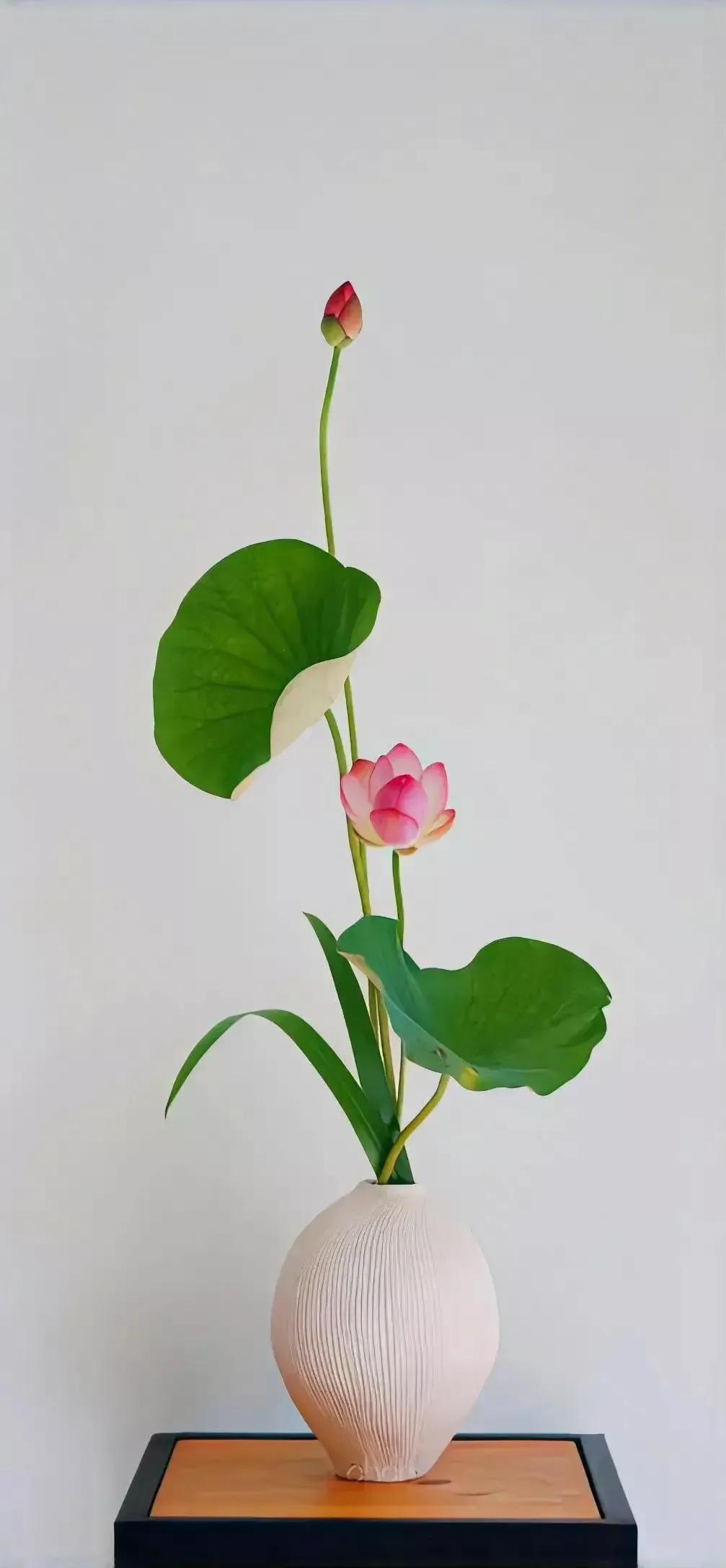 高清壁纸图片全屏干净高级,男士专用黑色美女全屏壁纸