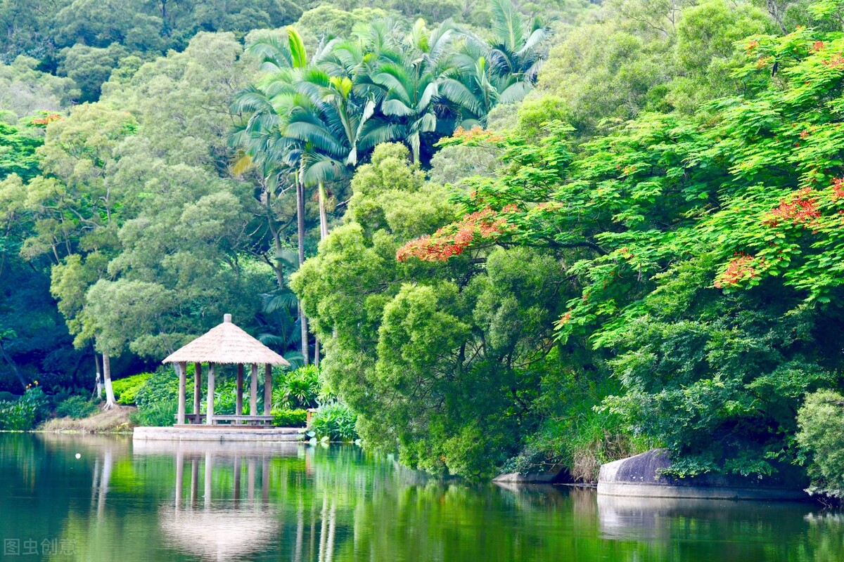 厦大情人谷怎么走,厦大情人谷游玩攻略