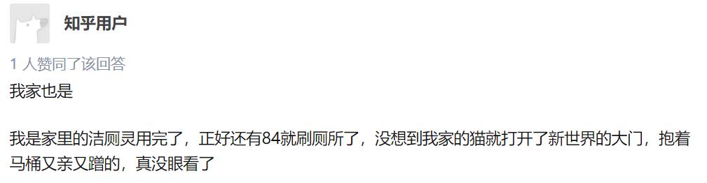 小心，这些家里常见的东西气味对猫有毒
