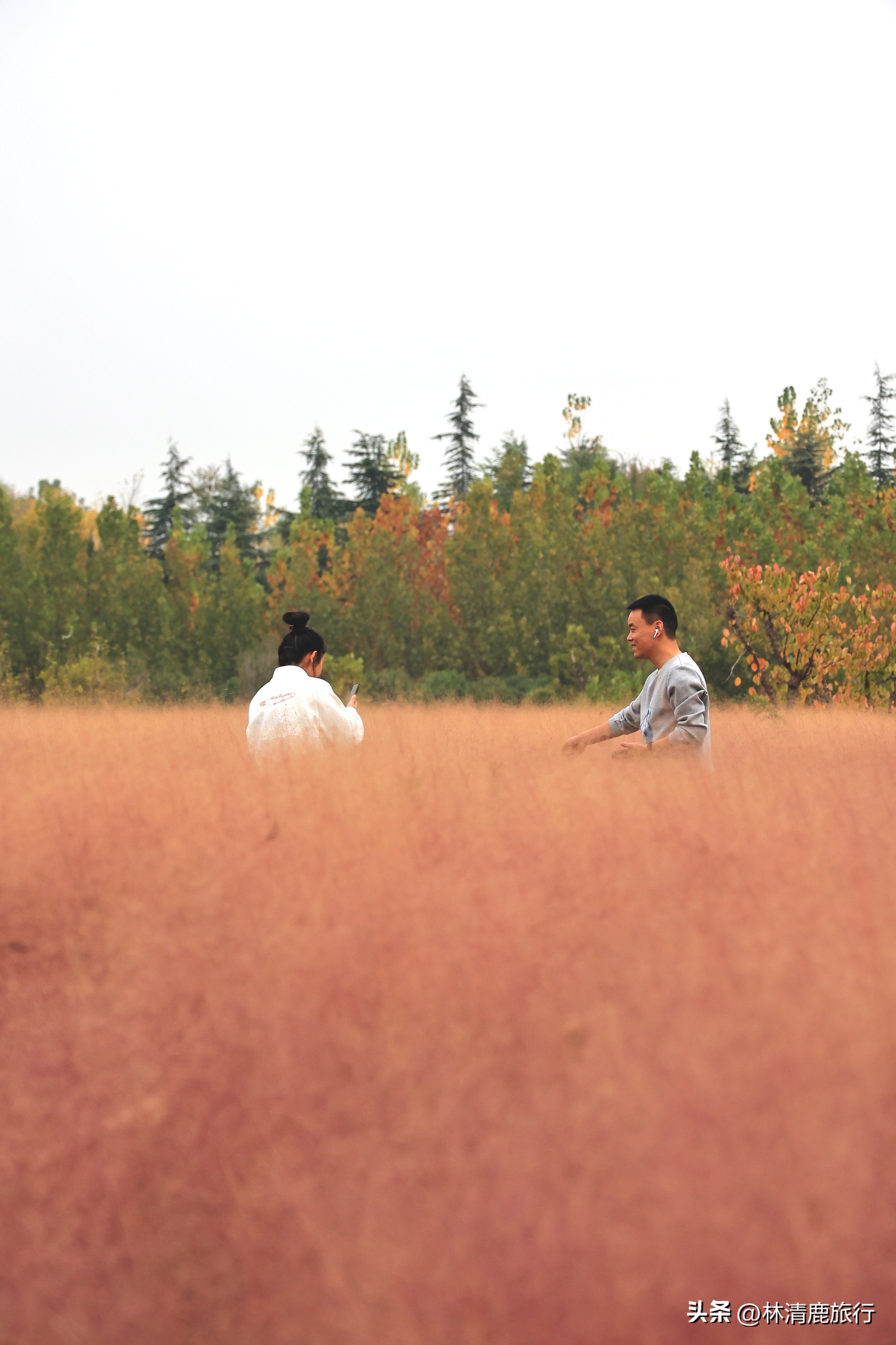 郑州秋日赏秋推荐,郑州坐地铁可达的赏秋好去处