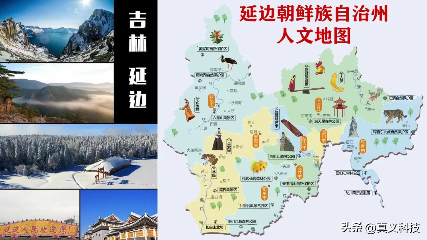 锤子历代手机讲解,锤子手机的发展史回顾