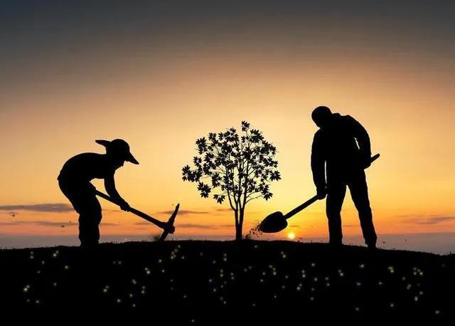 笨人干啥能赚钱,老实人做什么工作赚钱多