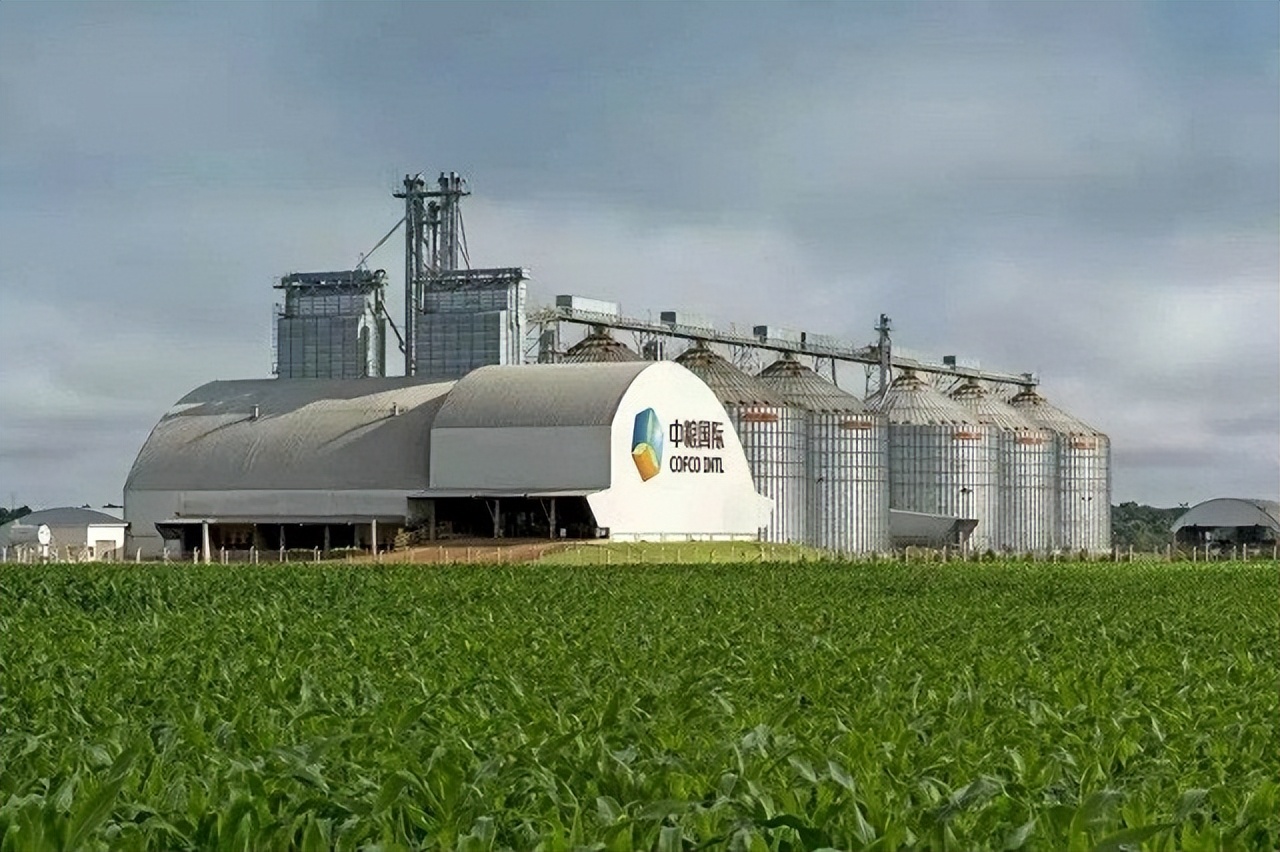 中粮集团2023世界排名,中粮17家上市公司表