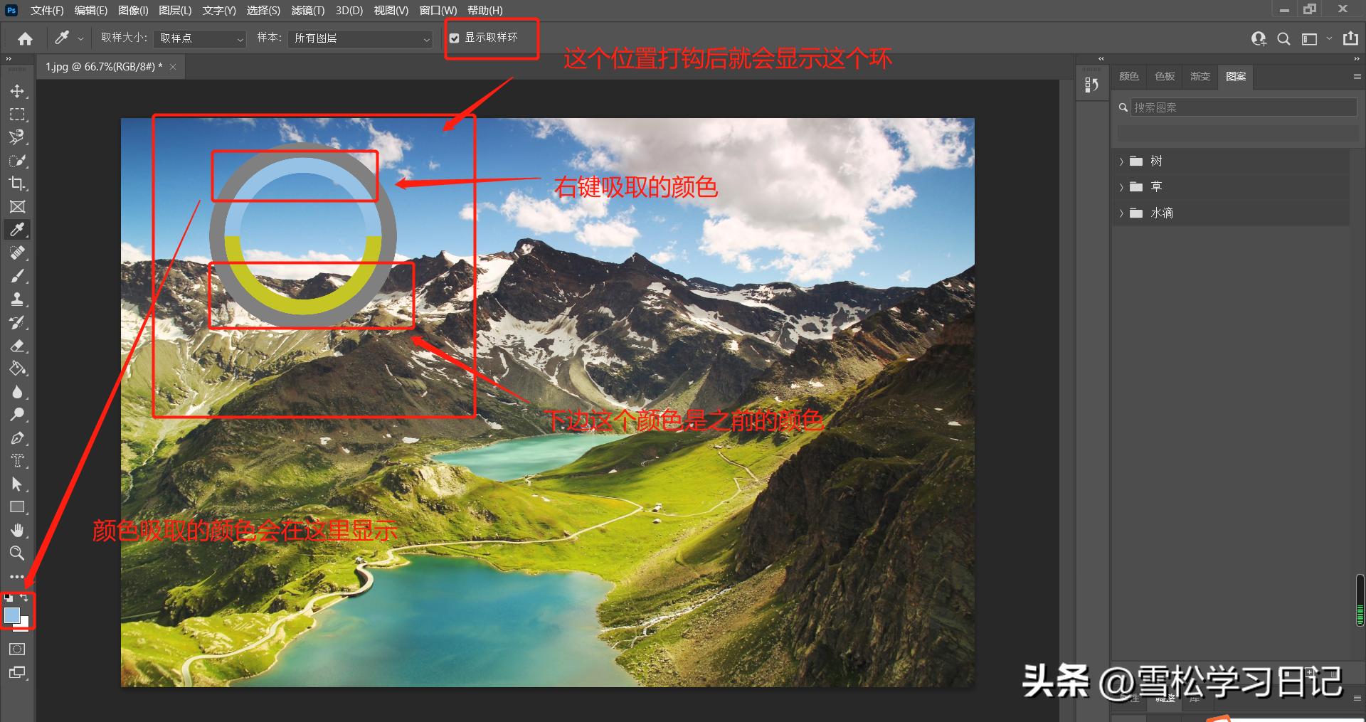 ps基础快捷键教学视频,ps快速选择工具新手教程