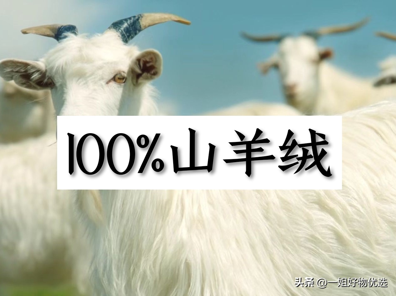 上海故事羊绒围巾价格,尼泊尔的羊绒围巾价格