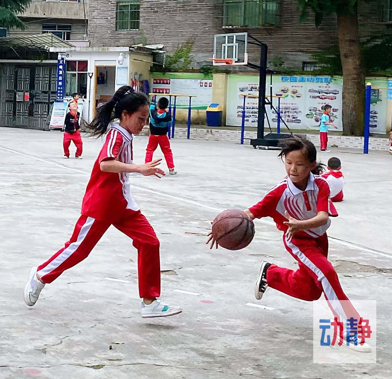 快看！都匀这所小学里有一群“灌篮高手”……