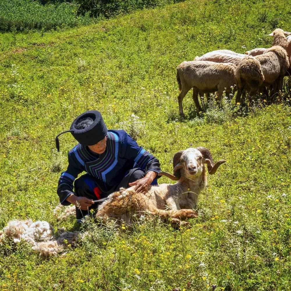 昭觉美姑,美姑路况