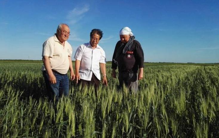 中国对中亚的影响,中亚五国对中国的影响