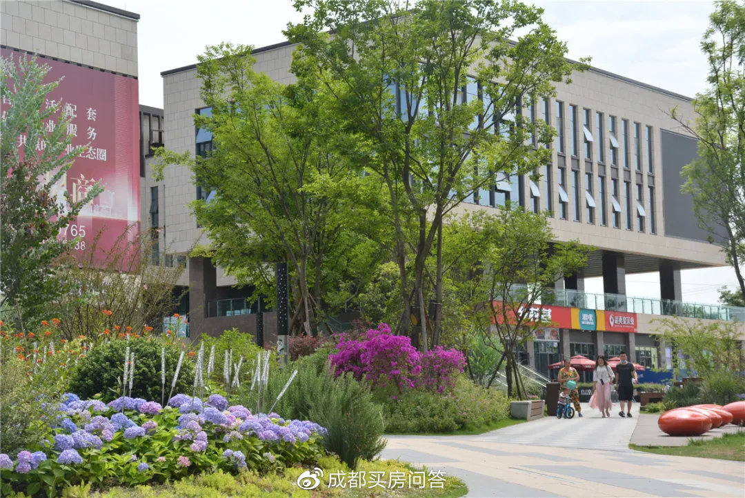 龙泉哪些板块不能买,龙泉热门楼盘