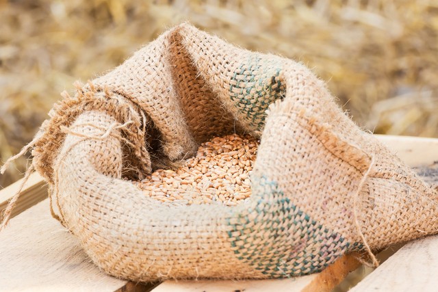 2023年农村养殖什么最火爆,2023年养什么牲畜能赚钱