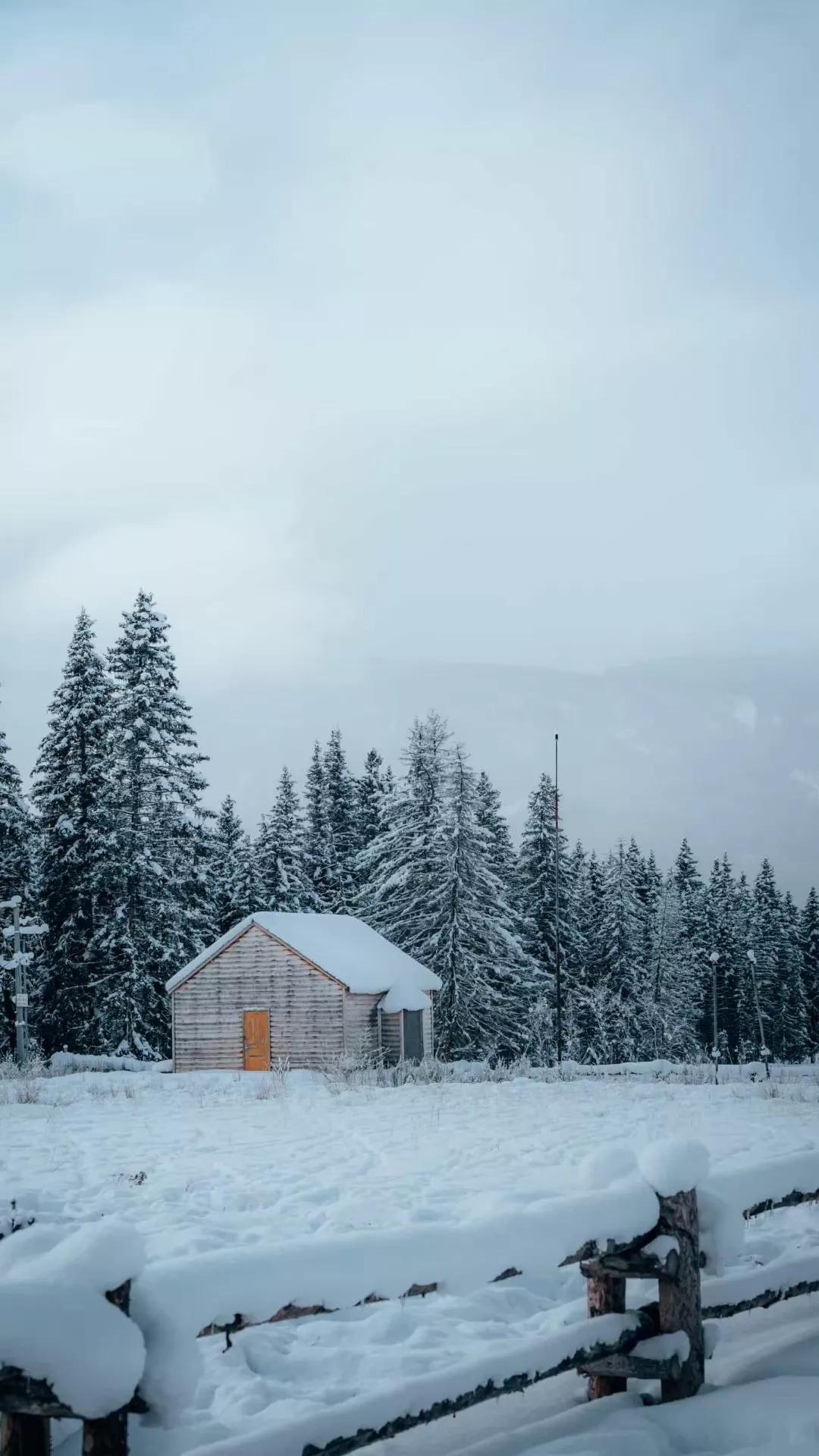 蓝皮鼠和大脸猫贝乐虎,蓝皮鼠和大烟卷