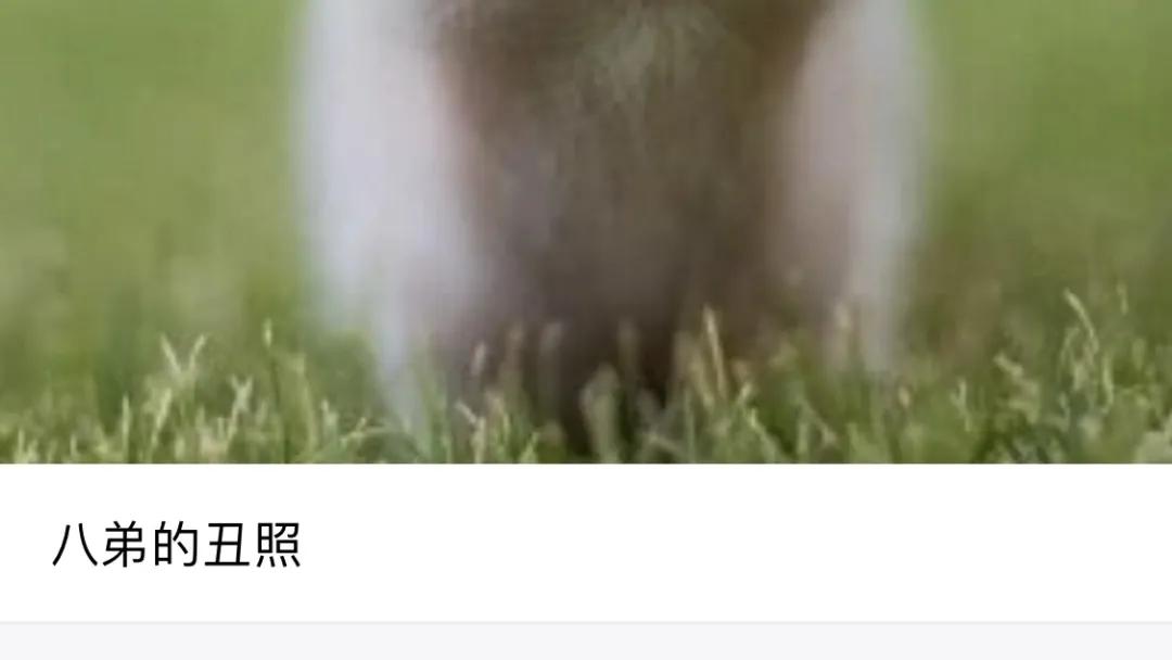 iphone相册的使用技巧,iphone相册隐藏怎么调出来