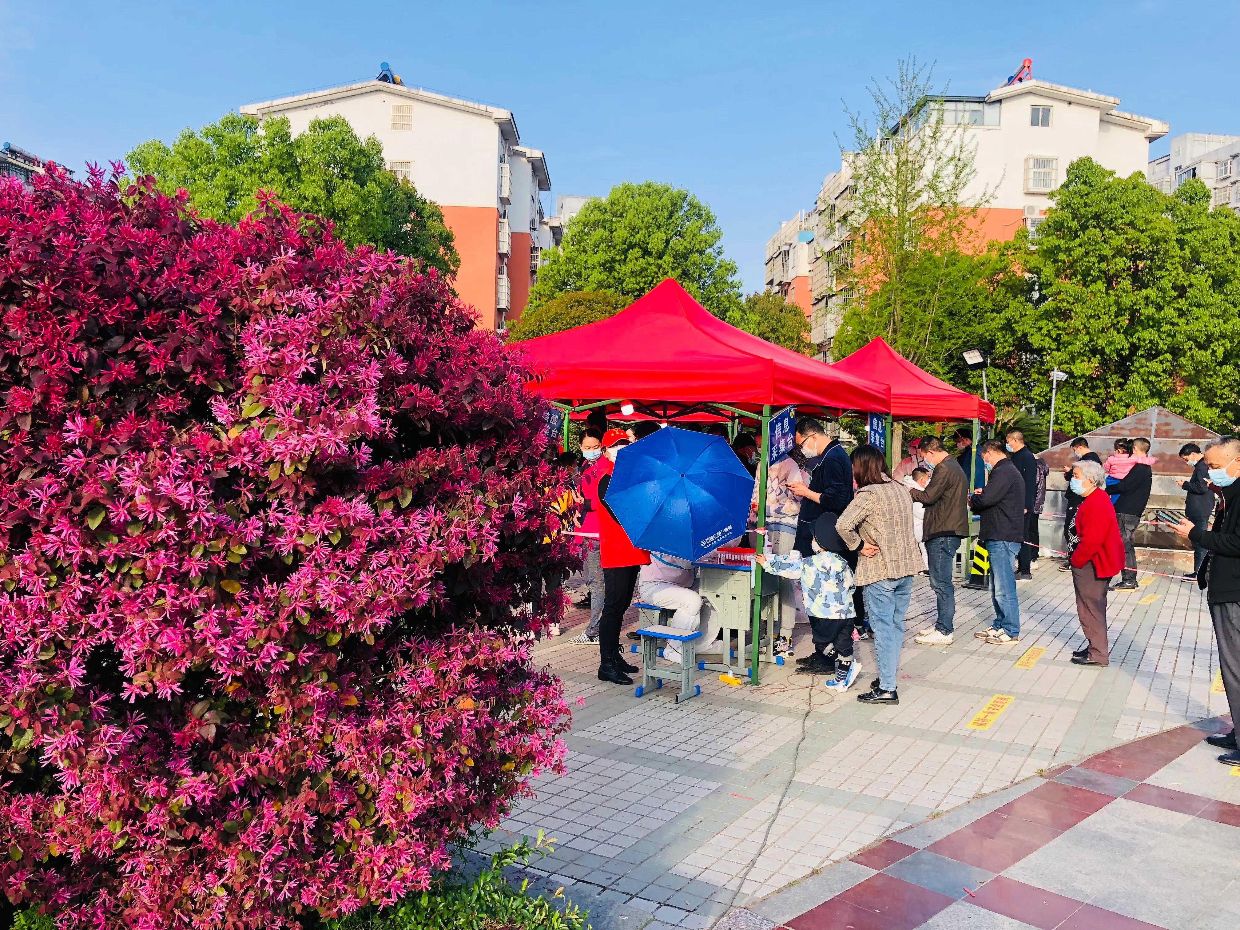 这个春天宅家玩水,宅家看去年的春天